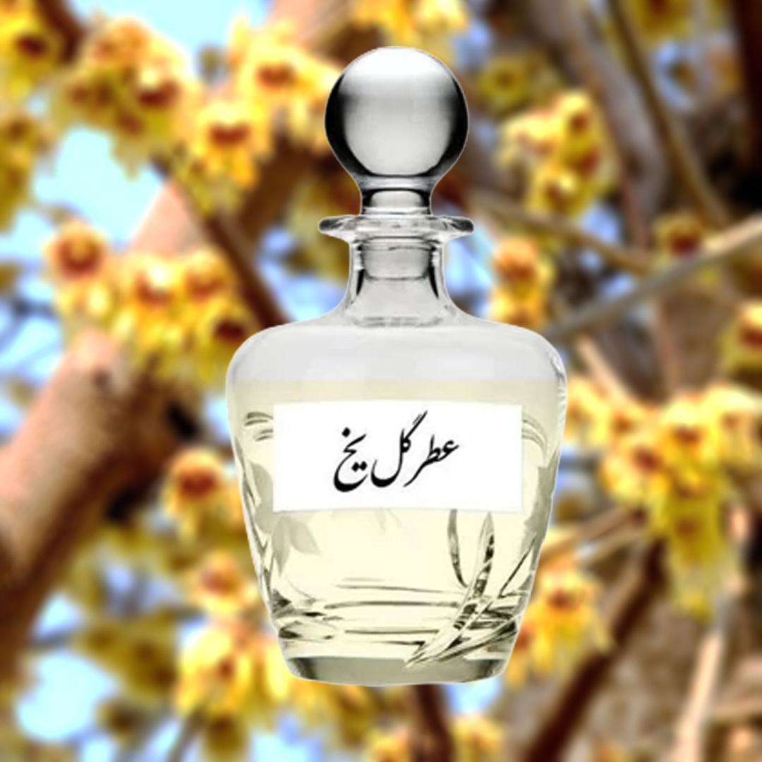 عطر گل یخ ممتاز